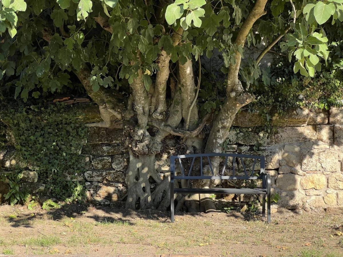 Gîte avec piscine, Château de Lescours, St-Émilion Saint-Sulpice-de-Faleyrens Exterior foto